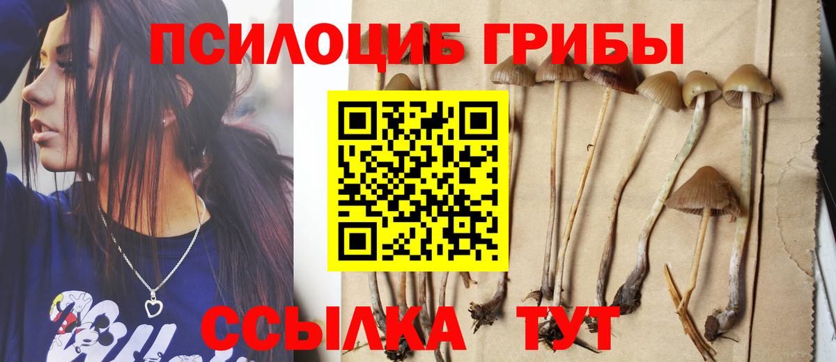 Псилоцибиновые грибы ЛСД  Вход с VPN  Губаха 