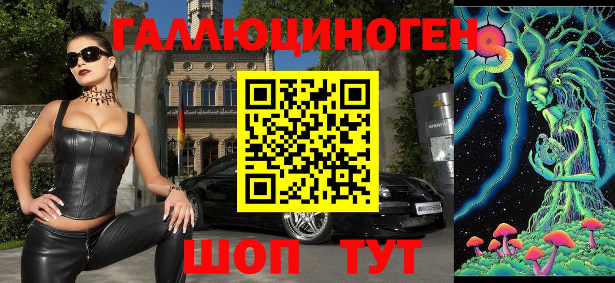 Галлюциногенные грибы Psilocybe Губаха